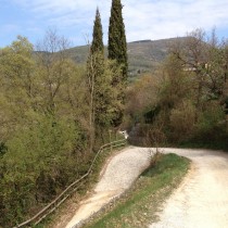 Colline di Costermano