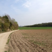 Colline di Pastrengo seconda parte