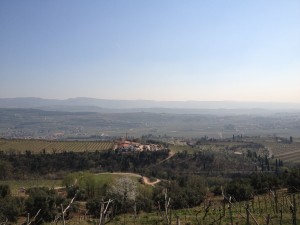 Panorama dopo la Pineta di Gargagnago