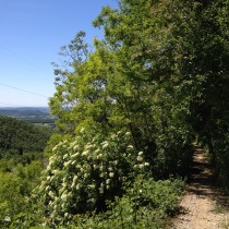 Monte Belpo - Attacco dal fianco destro