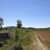 Monte Belpo - Verso Affi 1