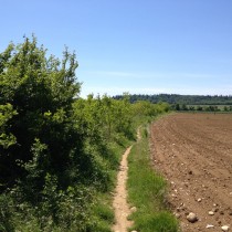 Monte Belpo - Affi - Ultimi sterrati