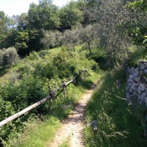 Percorso del Pellegrino - sopra Torri