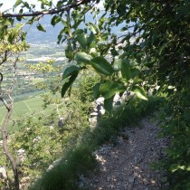 Valpolicella Valdadige - Monte discesa dal Forte - Passaggio