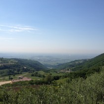 Valpolicella Valdadige - Mazzurega