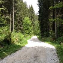 Campiello Asiago - Discesa da Boscon