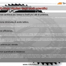 Rotor - Approfondimento pagina 15