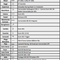 Specifiche F29 S Anton Cooper