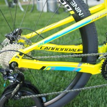 Cannondale 2014 Rush 29 - Particolare 1