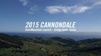 Cannondale Overmountain 2015